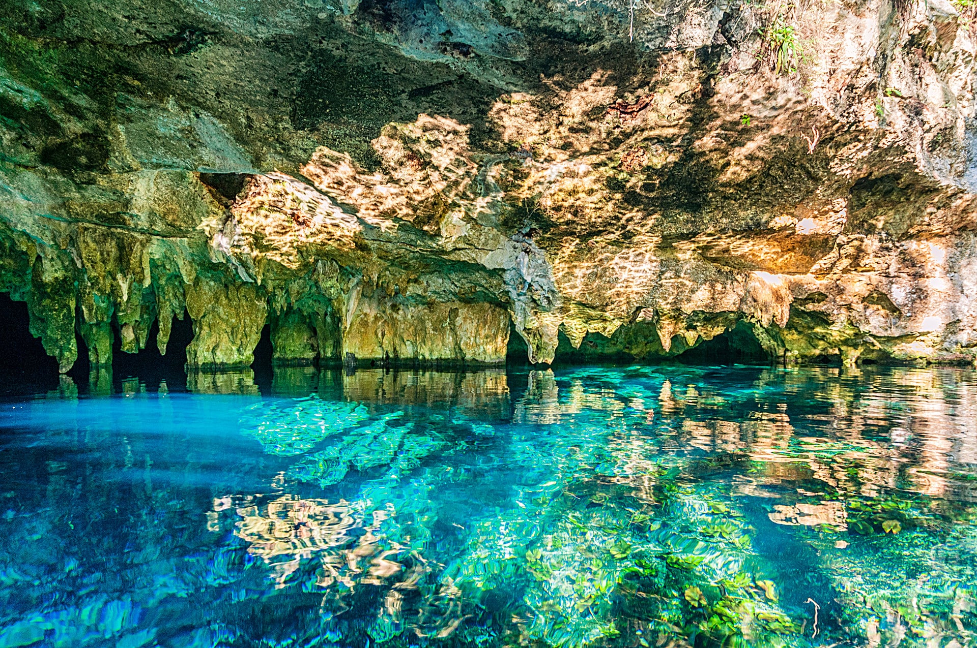 Gran Cenote — iconic cave system with stalactites and gin-clear water